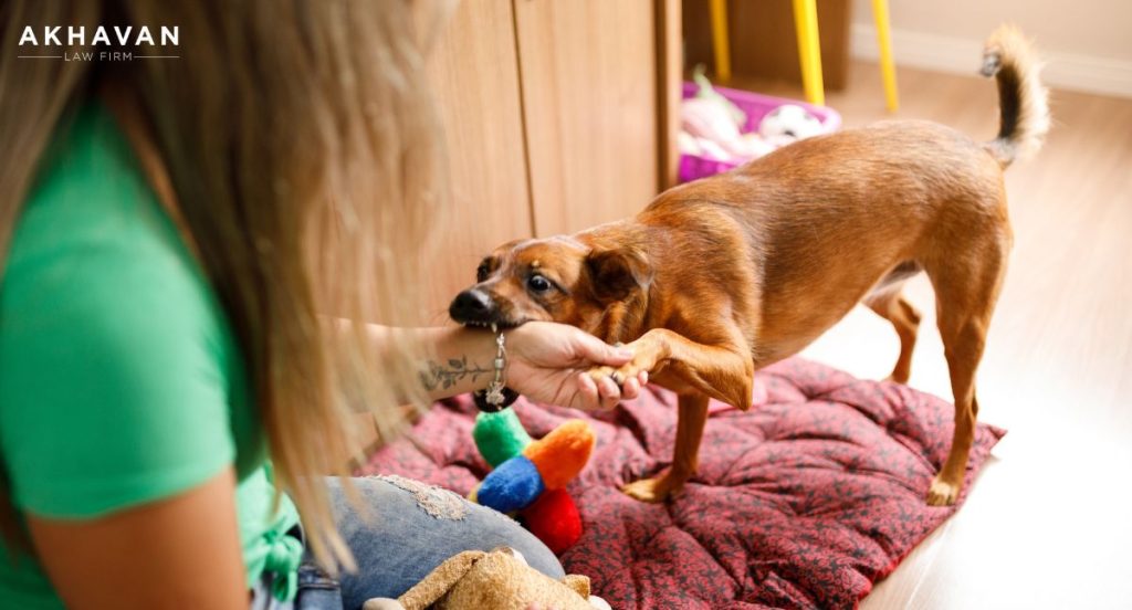 Dog Bite Scars: Physical And Emotional Personal Injuries