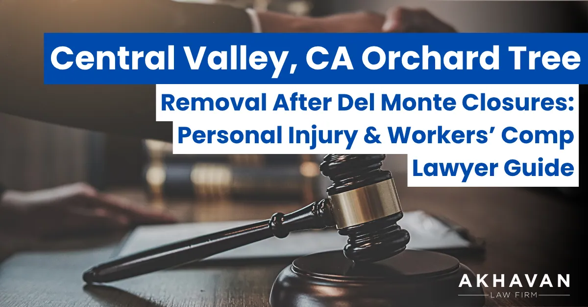 Personal Injury & Workers’ Comp Lawyer Guide